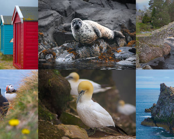 Moray Coast, Wildlife & Speyside Whisky Explorer