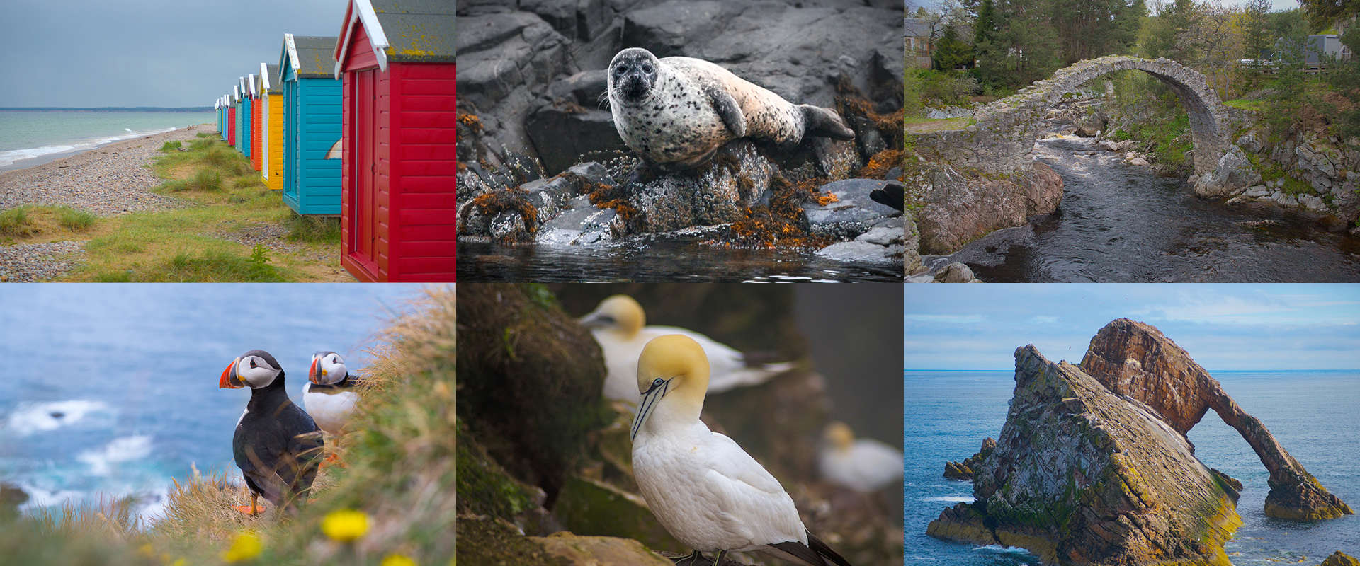 Moray Coast, Wildlife & Speyside Whisky Explorer hero image