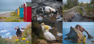 Collage of birdlife and scenery at Moray Coast with puffins seals and gannets v2