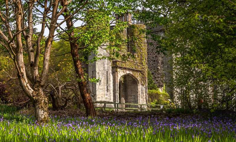 image of Armadale Castle & Gardens Experience