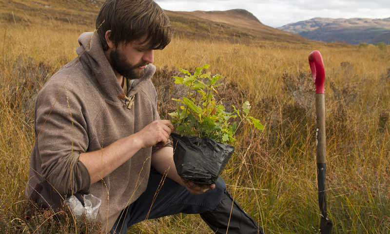 Volunteer Planting Trees © Trees For Life (1) CROPPED