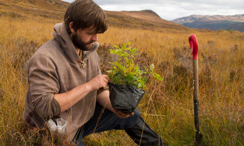 Volunteer Planting Trees Trees For Life (1)