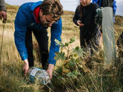 Young man watering a young oak tree in open ground within Tormore Forest
