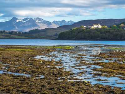 View of the Cuillins