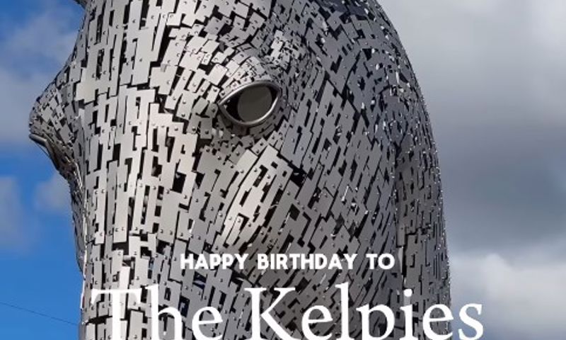 Also known as Duke and Baron they definitely deserve a party of a lifetime for standing up so proudly. 