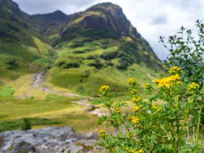 Glen Coe