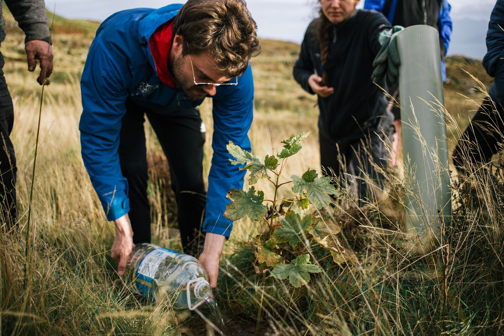 image of Highlight Tree Planting