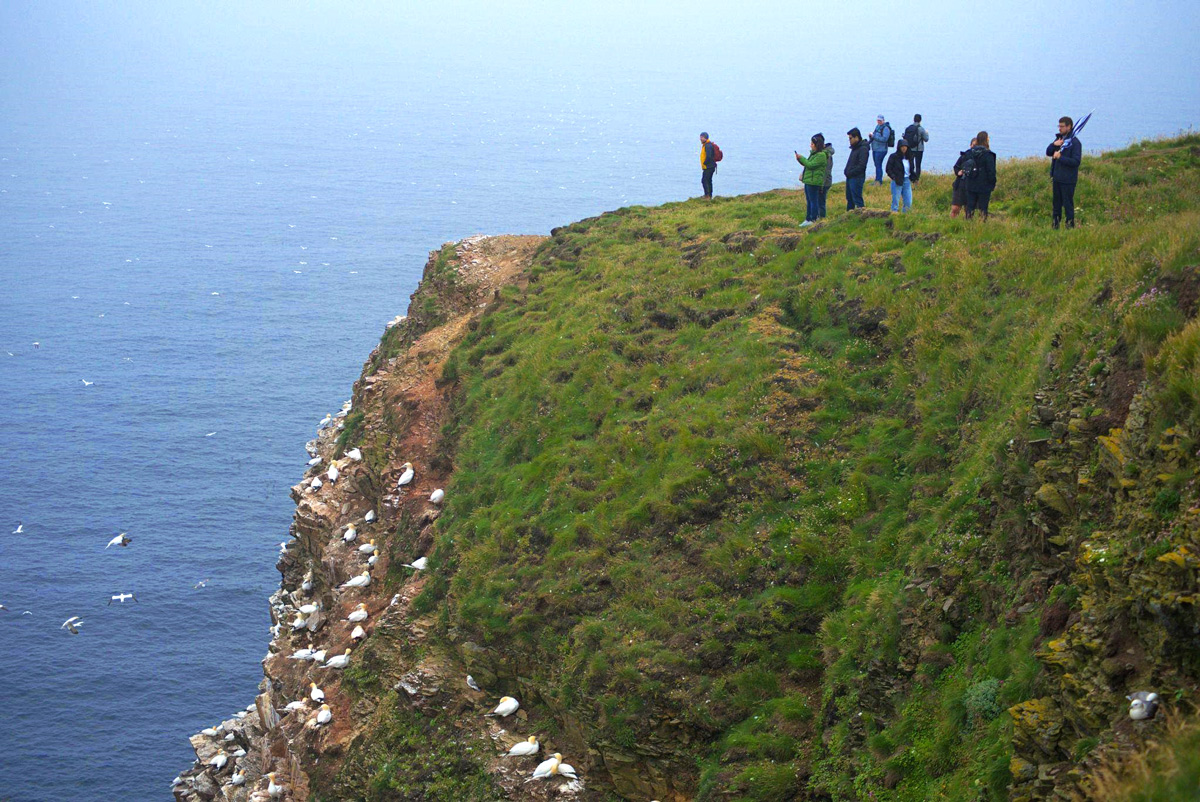 Group of people at Troup Head Nature Reserve on the Moray Coast, standing on cliffs overlooking the sea