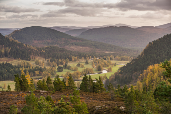 image of Highlight Cairngorms Scotland tours