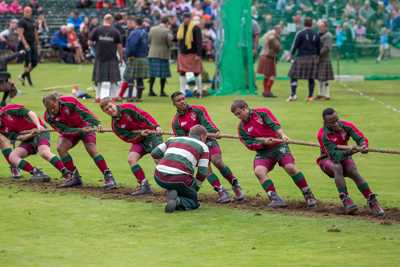 image of Highlight  Tug o'War