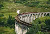 Jacobite Steam Train