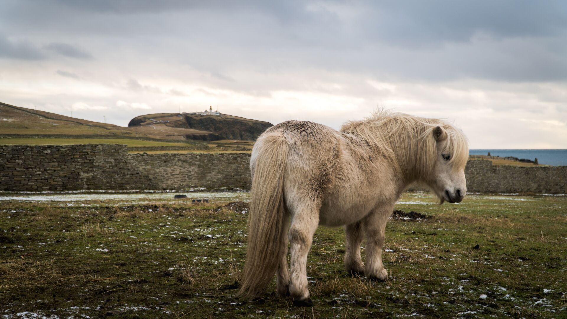 image of Highlight Shetland Scotland tours 