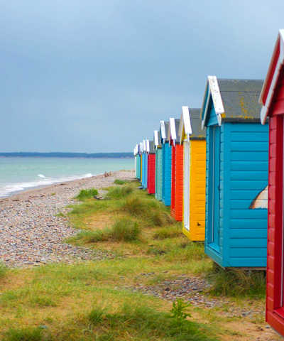 Moray Coast, Wildlife & Speyside Whisky Explorer image
