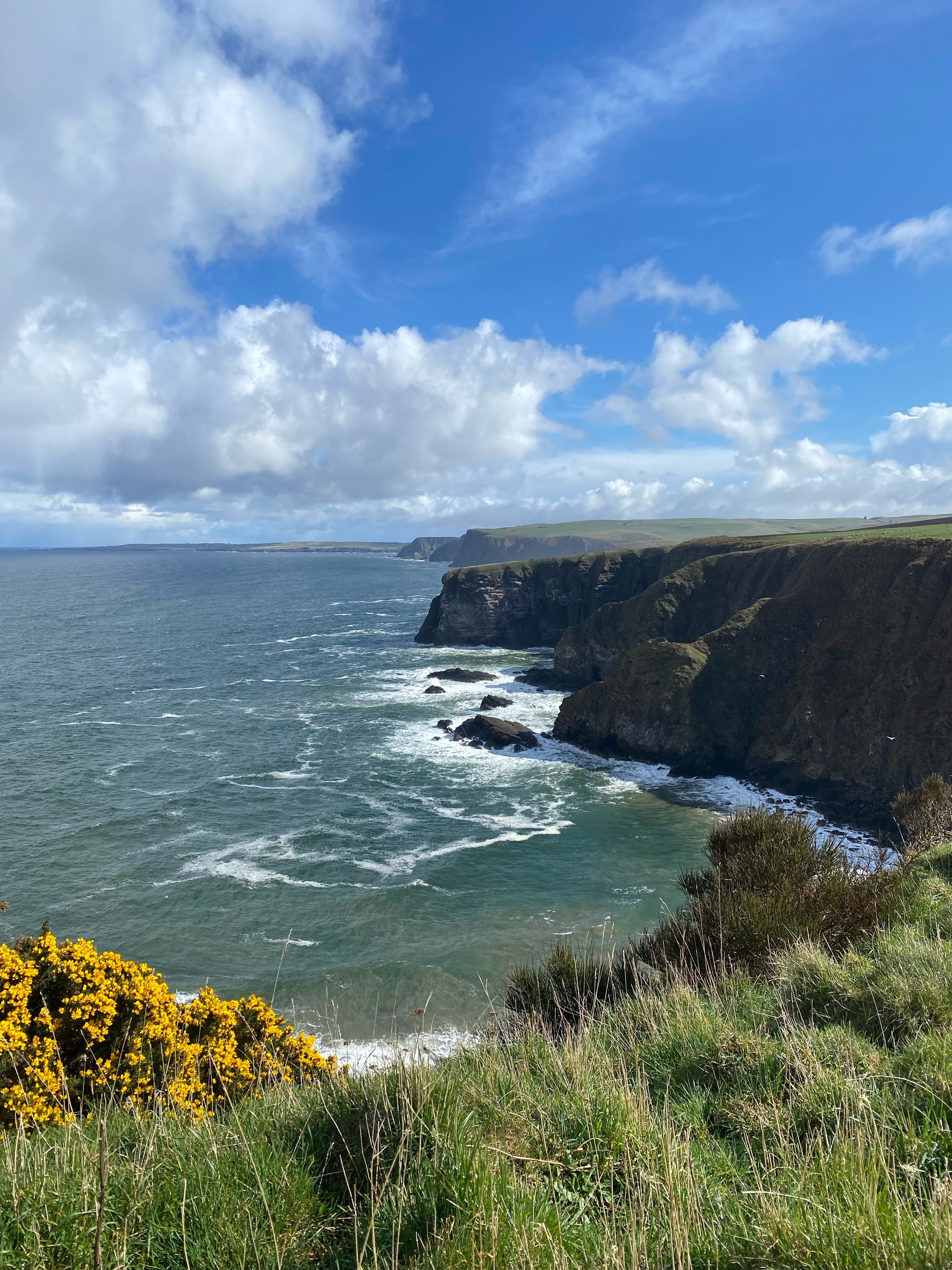 Sunny Moray Coast cliff, with sweeping views of the ocean and dramatic rock formations against a bright blue sky