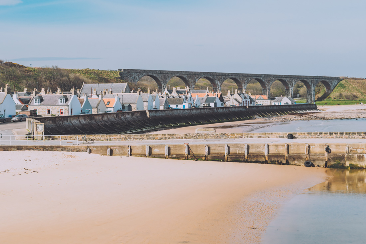 image of Highlight Cullen