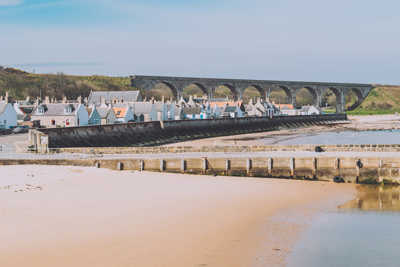 image of Highlight Cullen